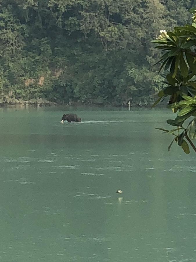 Ganga Forest View Rishīkesh Exterior foto